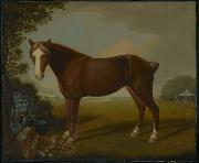 unknow artist, Portrait of a Horse